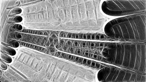 Fill Prints: Fractal object