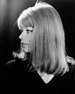 Francoise Hardy Portrait