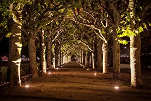 Images Dated 24th September 2016: Frankfurt Park Illuminated