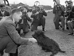 Interview Prints: Franklin D. Roosevelt's Scottie, Fala, at a Press Conference