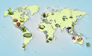 Prints of Dorling Kindersley Prints Unlock the world's wonders with Dorling Kindersley's captivating illustrations – where knowledge meets artistry in every stroke: Freaky Flora map