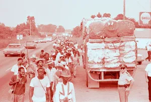 Cotton Prints: Freedom Marchers Passing A Truck