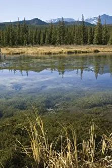 freezing pond