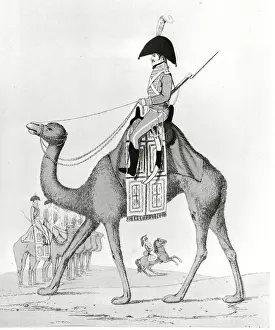 Camel Prints: French Battalion Member Riding Camel
