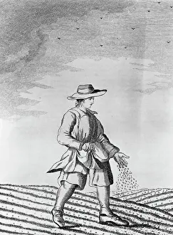 French Farmer Sowing Seeds