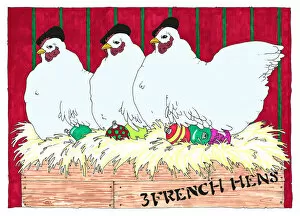 Female Animal Gallery: Three French Hens