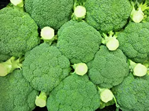 Healthy Eating Collection: Fresh broccoli