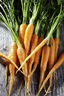 Images Dated 25th May 2012: Fresh carrots, carrots in a colander on rustic wood