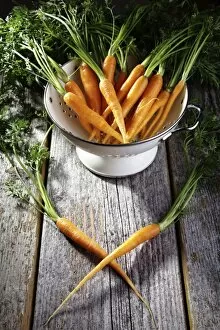 Images Dated 25th May 2012: Fresh carrots, carrots in a colander on rustic wood