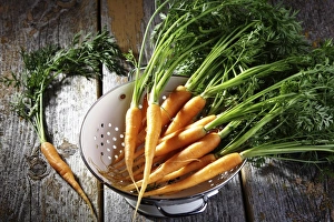 Images Dated 25th May 2012: Fresh carrots, carrots in a colander on rustic wood