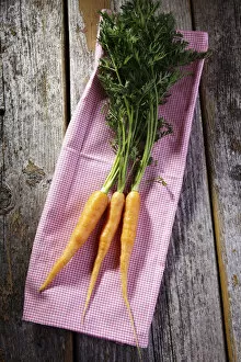 Fresh carrots on a kitchen towel on rustic wood