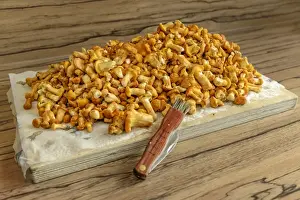 Higher Fungus Prints: Fresh chanterelles or golden chanterelles -Cantharellus cibarius