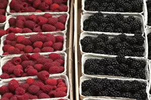Images Dated 10th September 2014: Fresh Raspberries -Rubus idaeus- and fresh Blackberries -Rubus sectio Rubusin- in boxes on the market