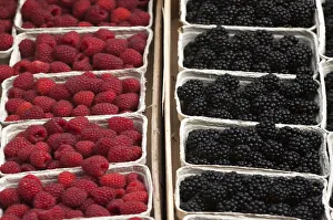 Images Dated 10th September 2014: Fresh Raspberries -Rubus idaeus- and fresh Blackberries -Rubus sectio Rubusin- in boxes on the market