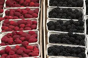 One After Another Prints: Fresh Raspberries -Rubus idaeus- and fresh Blackberries -Rubus sectio Rubusin- in boxes on the market