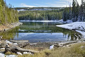 Images Dated 31st October 2011: Fresh snow at Mesa Lake, Grand Mesa National Forest, Colorado, USA