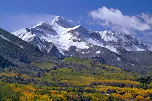 Images Dated 4th February 2016: Fresh snow on Mount Wilson and forest in autumn colors, Uncompahgre National Forest, Colorado, USA