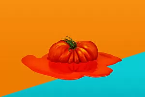 Images Dated 24th May 2018: Fresh tomato melting into a puddle