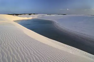 Brasil Prints: Freshwater lagoon, Parque Nacional dos Lencois Maranhenses or Lencois Maranhenses National Park