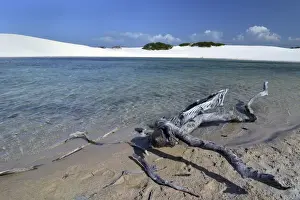 Brasil Prints: Freshwater lagoon, Parque Nacional dos Lencois Maranhenses or Lencois Maranhenses National Park