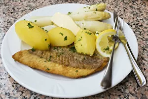 Images Dated 12th May 2012: Fried salmon with asparagus, butter and boiled potatoes