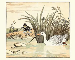 Frog He Would A-Wooing Go, nursery rhyme, A lily white duck came along and gobbled him up