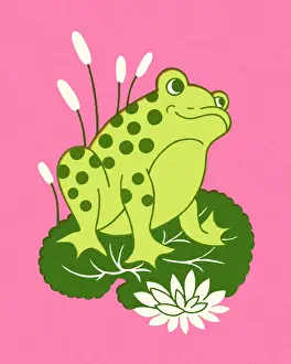 Frog Sitting on Lily Pad