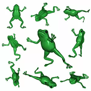 Images Dated 17th March 2011: Frogs viewed from different angles, 3D illustration