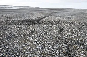 Images Dated 8th August 2012: Frost cracks in the frost ground patterns in the Arctic ice desert, Zorgdragerfjord