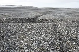 Svalbard Islands Prints: Frost cracks in the frost ground patterns in the Arctic ice desert