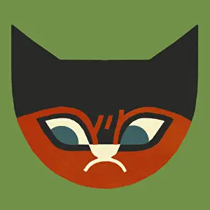Frowning Cat