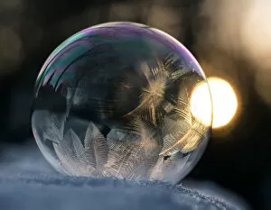 Frost Collection: Frozen bubble at sunset