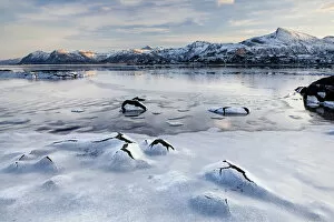 Images Dated 29th January 2012: Frozen fjord in winter, Lofoten, Norway