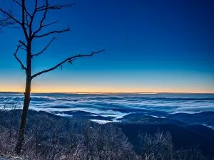 Images Dated 10th January 2016: Frozen Fog at the Blue Ridge Mountains