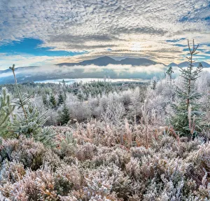 Frost Collection: Frozen Highlands and Valley near River Moriston and Loch Cluanie
