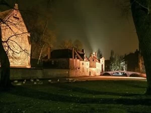 Images Dated 11th January 2010: Frozen Lake of Love illuminated at night, Bruges