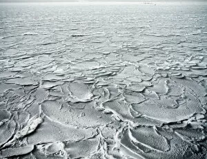 Images Dated 2nd March 2010: Frozen sea