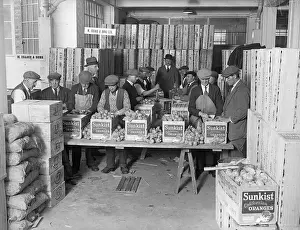 Fruit Market