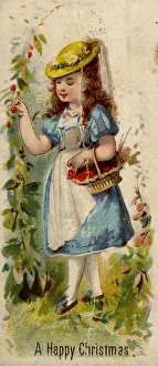 Fruit Picker
