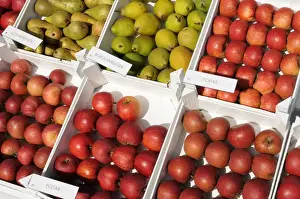 Variety Prints: Fruit stand, Altes Land region, Lower Saxony, Germany, Europe