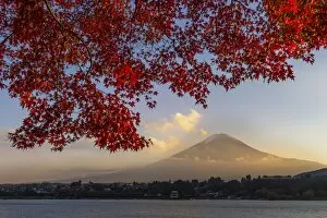 Images Dated 6th November 2013: Fuji in autumn season