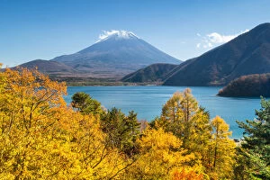 Images Dated 13th November 2014: Fuji Mountain in the fall