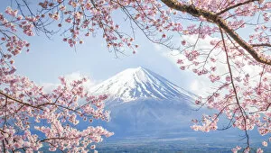 Boat Gallery: Fuji Mountain and Pink Sakura Branches at Kawaguchiko Lake in Spring, Japan