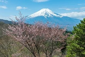 Images Dated 22nd April 2015: Fuji and Sakura from Oshino-mura