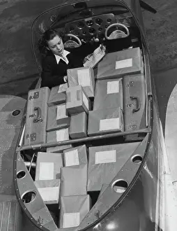 Luggage Prints: Fully Loaded Navion
