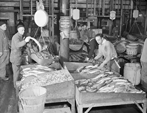 Fulton Fish Market Workers