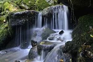 Images Dated 24th October 2014: Gaisholl waterfalls, near Sasbachwalden, Black Forest, Baden-Wurttemberg, Germany