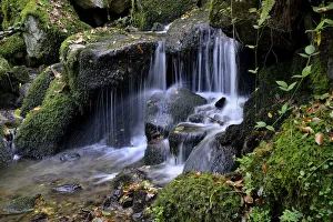 Images Dated 24th October 2014: Gaisholl waterfalls, near Sasbachwalden, Black Forest, Baden-Wurttemberg, Germany