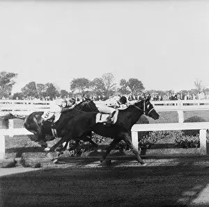 Jockey Prints: Gallant Fox Winning the Preakness Stakes in 1930