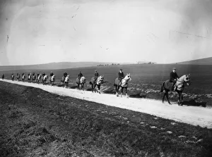 Racehorse Gallery: To The Gallops